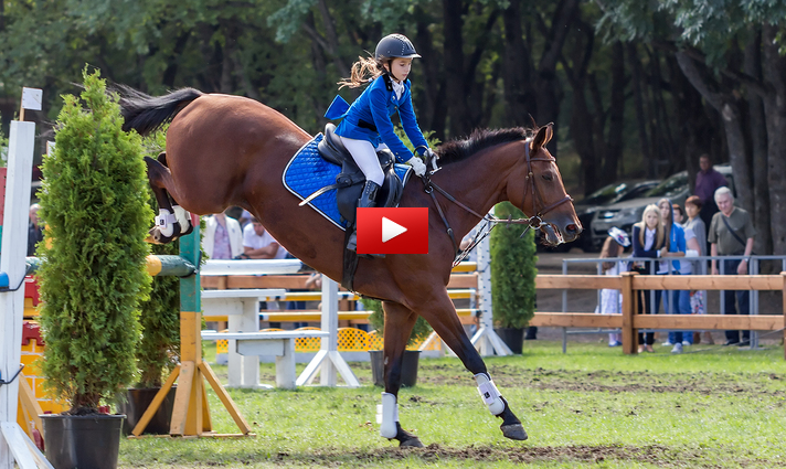 Horseback Riding and its Impact on Problem Solving Skills