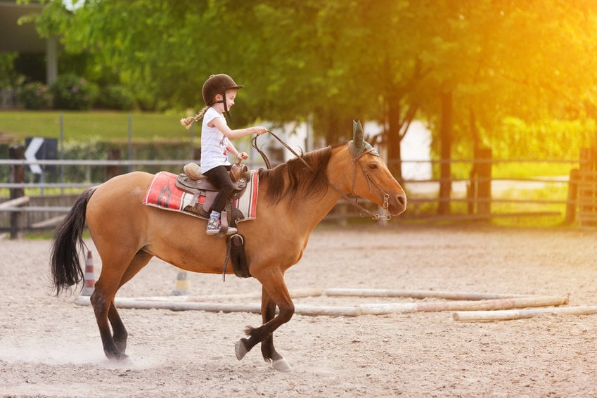 Horseback Riding and its Impact on Problem Solving Skills