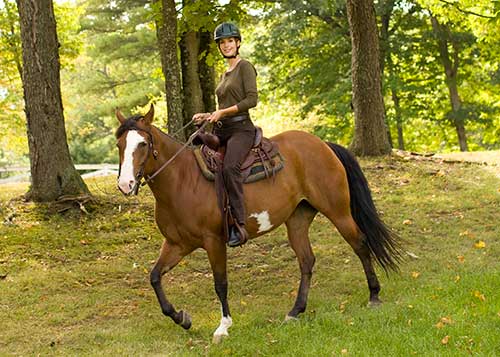 Horseback Riding and Its Influence on Horse Breeds