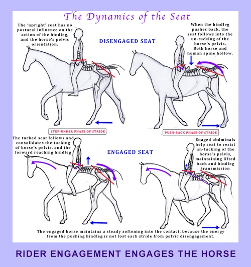 Horseback Riding and its Influence on Horse Training Methods