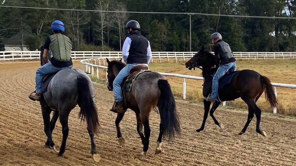 Horseback Riding and its Influence on Horse Training Methods