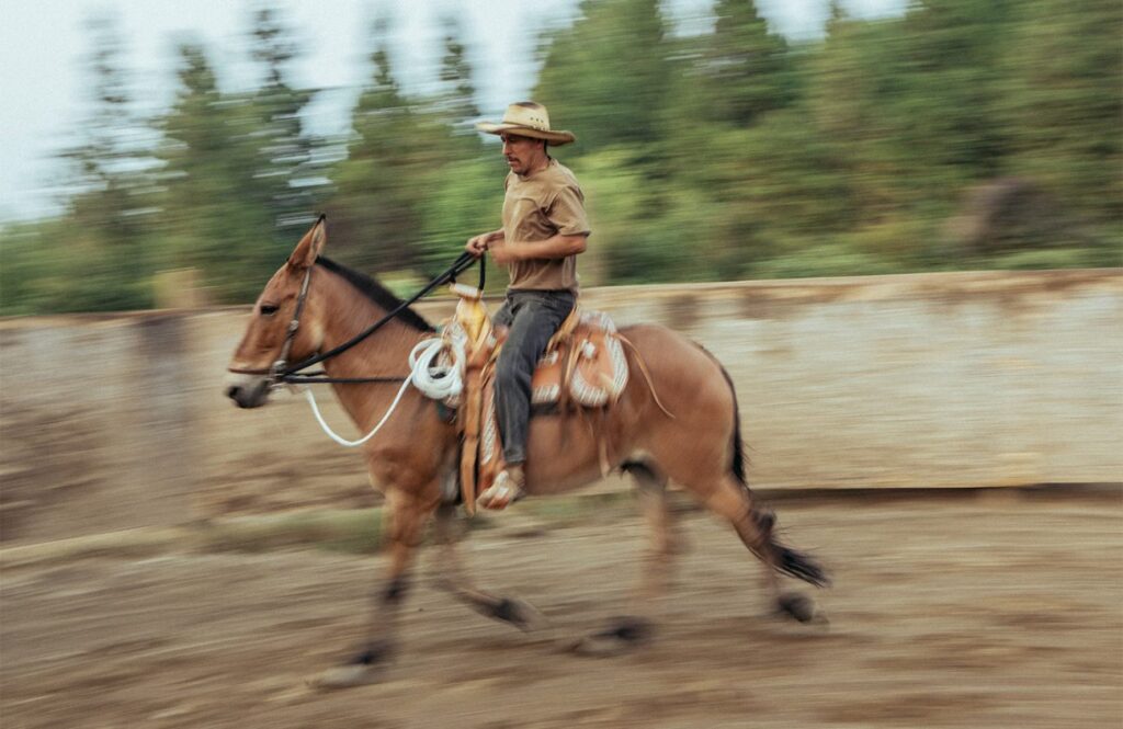 Horseback Riding and its Influence on Horse Whispering