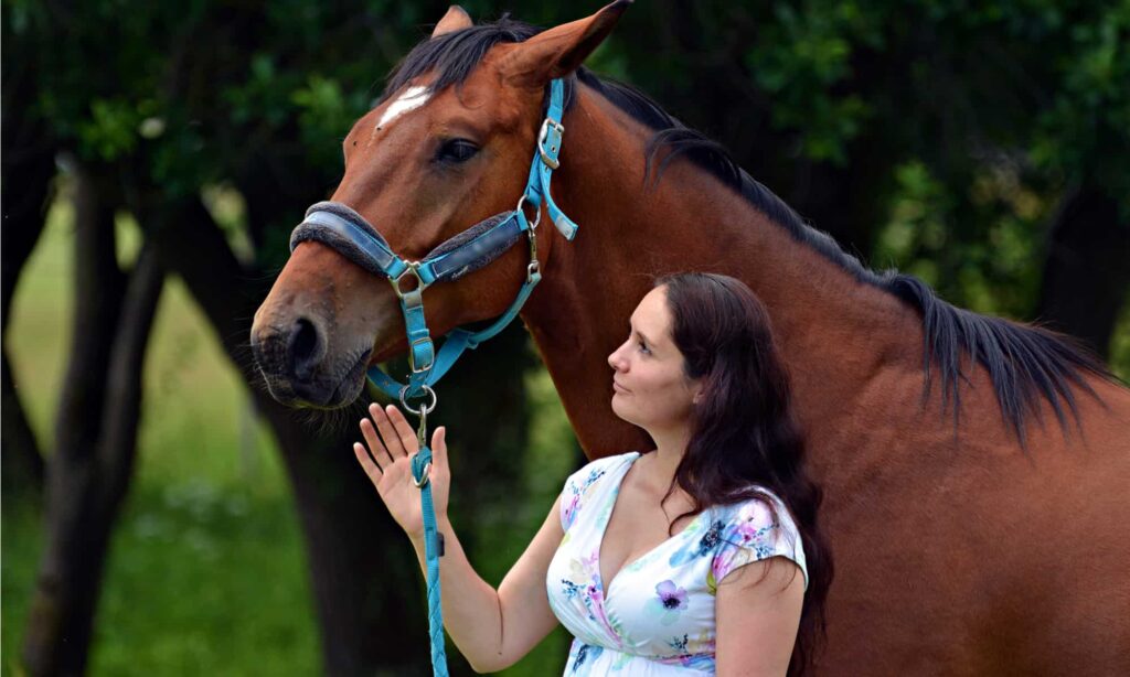 Horseback Riding and its Influence on Horse Whispering