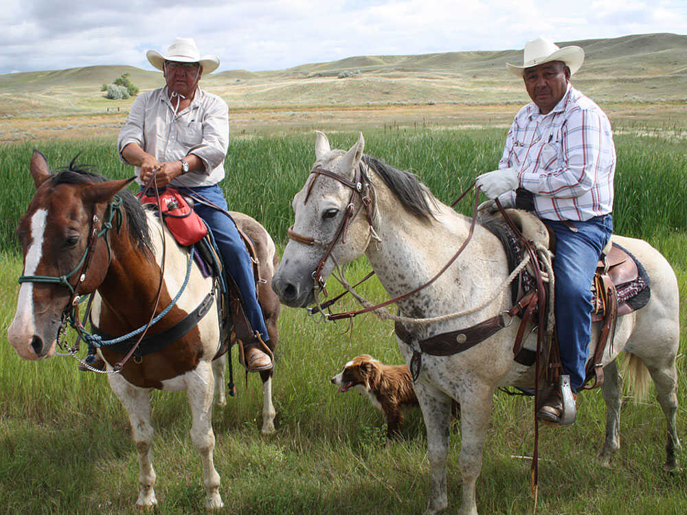 Horseback Riding and its Influence on Poetry