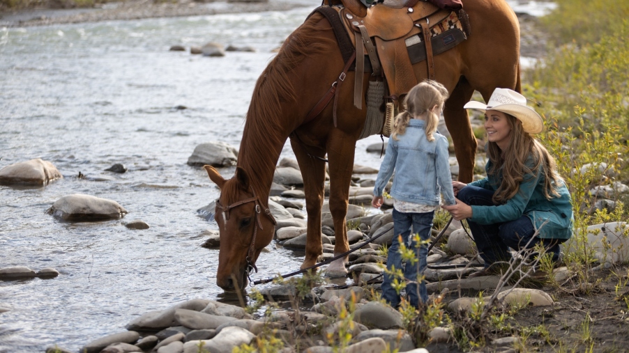 Horseback Riding and its Influence on Television Shows