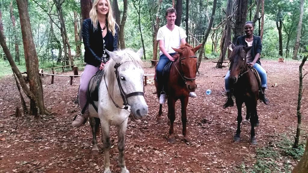 Horseback Riding and its Influence on the Tourism Industry