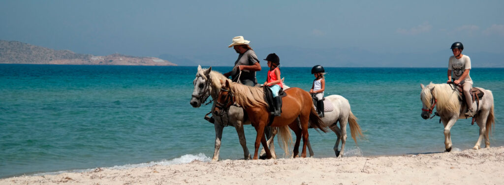 Horseback Riding and its Influence on the Tourism Industry