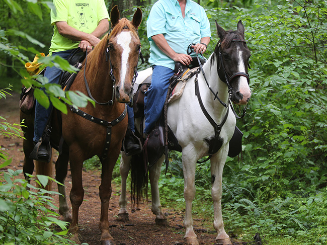 Horseback Riding and its Influence on Trail Systems