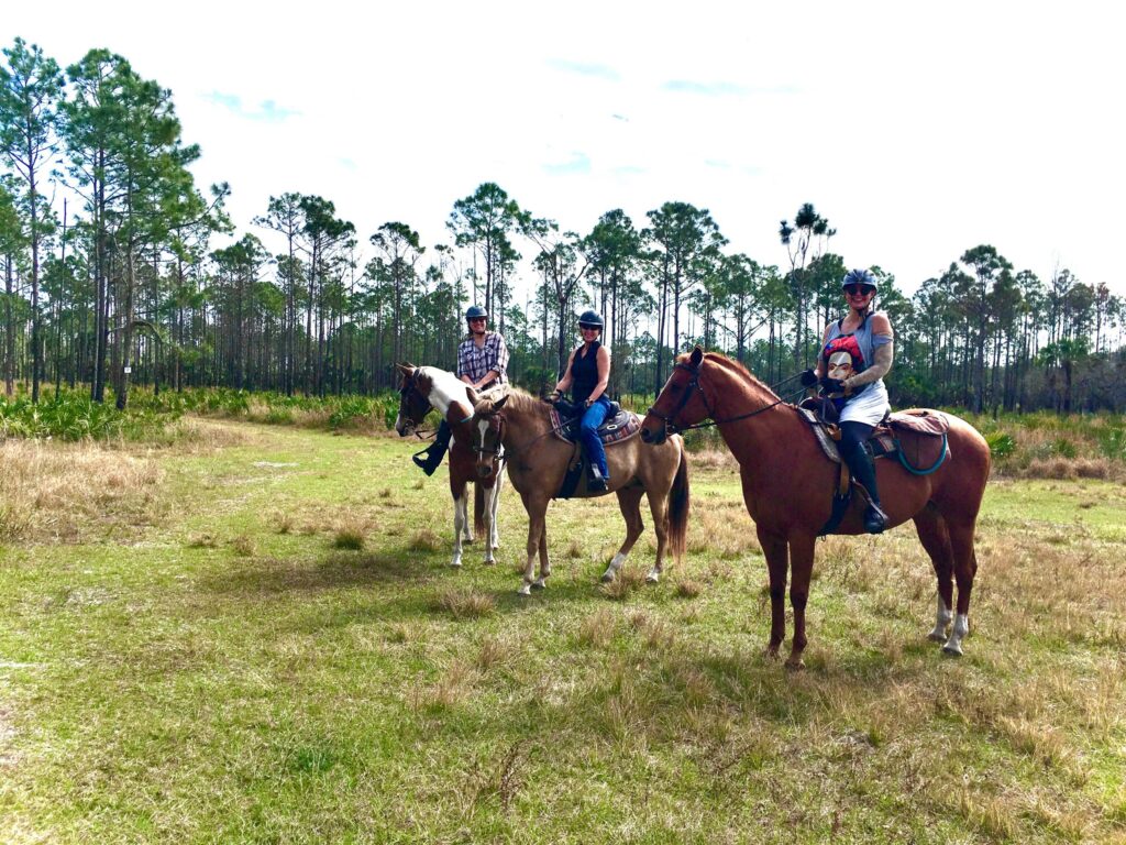 Horseback Riding and its Influence on Trail Systems