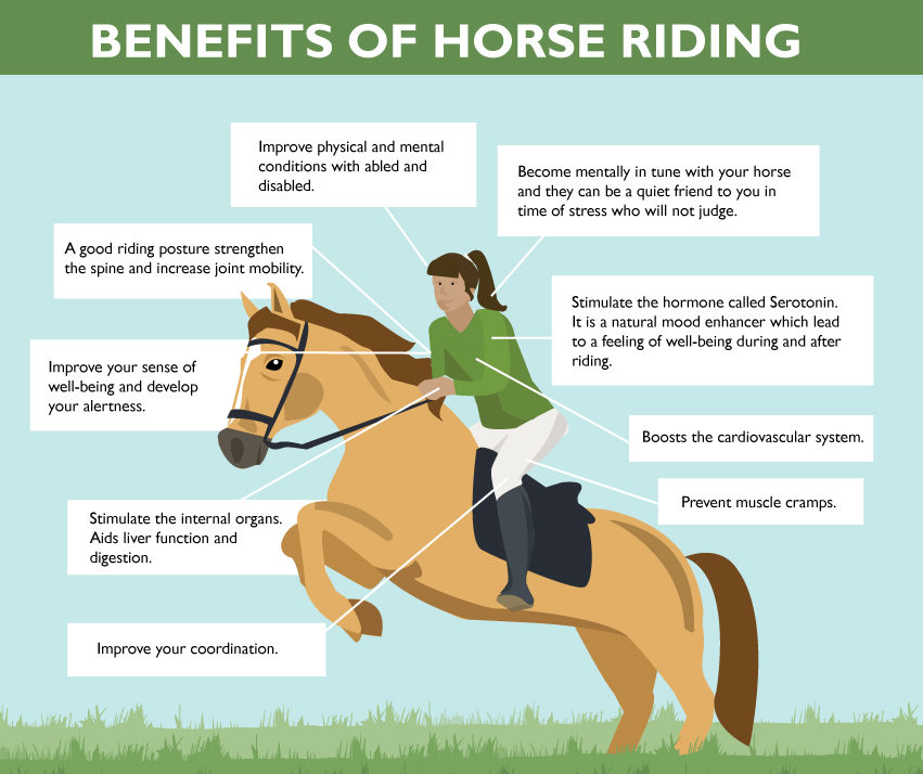 Horseback Riding and its Positive Effects on Mental Health