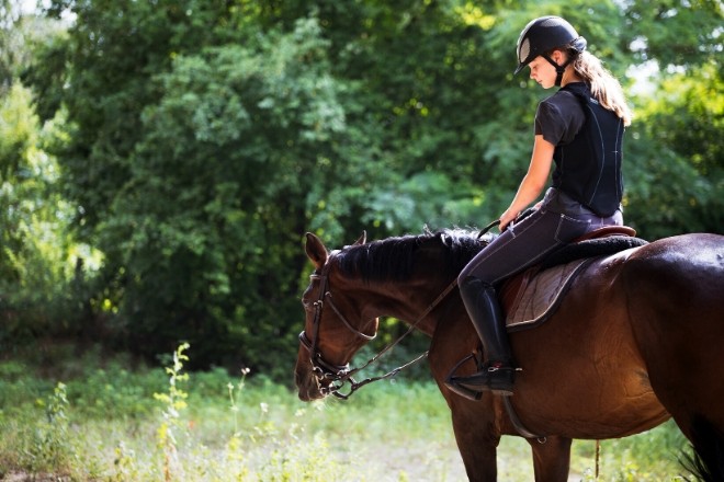 Horseback Riding and its Positive Effects on Mental Health