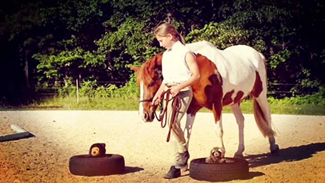 Horseback Riding as a Bonding Activity for Families