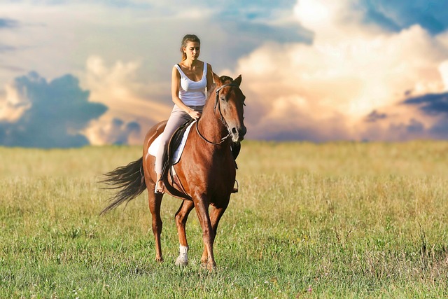 Horseback Riding as a Form of Exercise