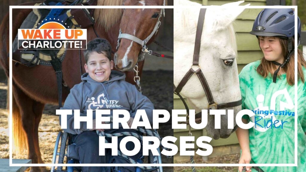 Horseback Riding as a Form of Therapy for People with Disabilities