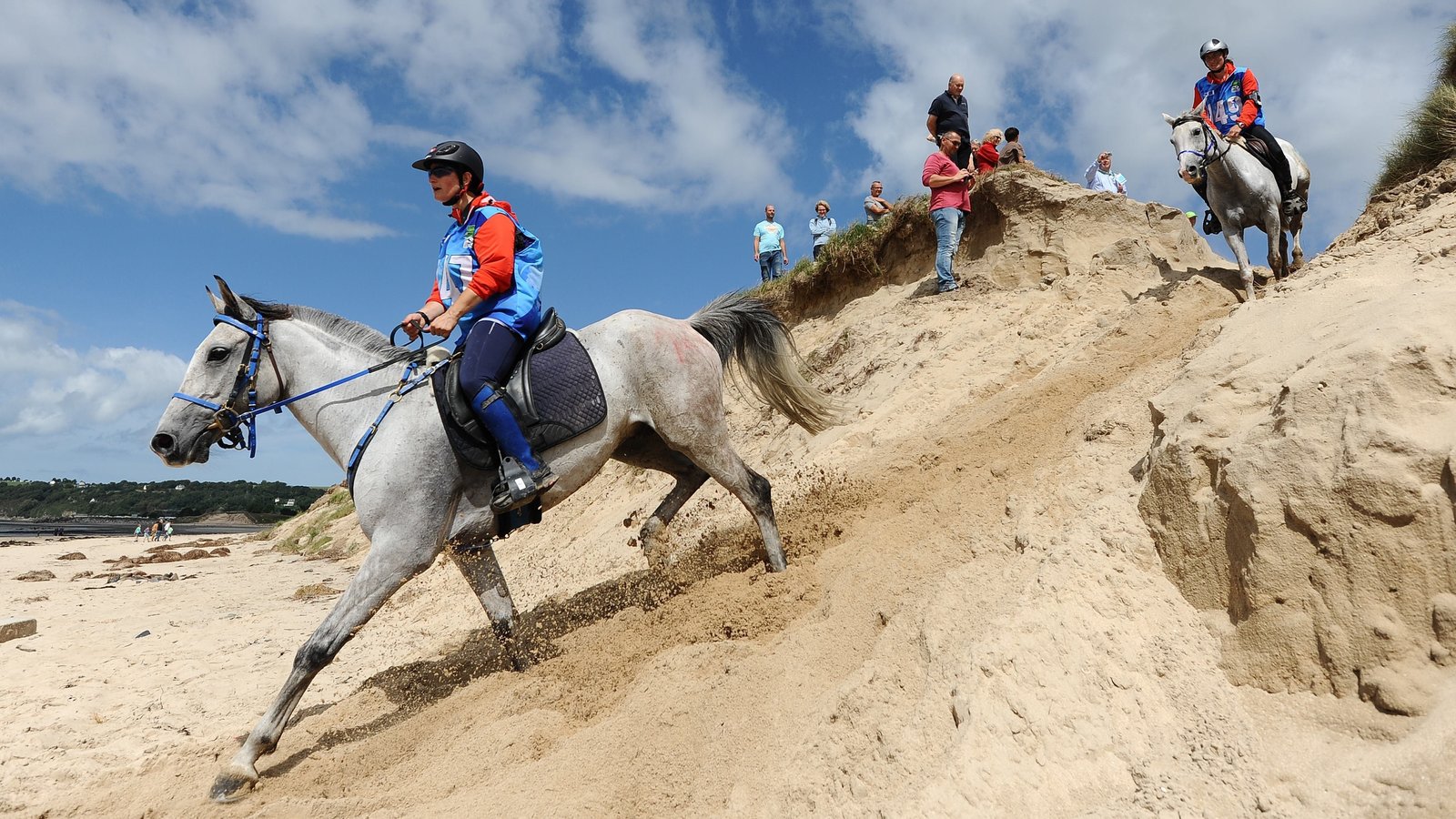 Horseback Riding as a Team Sport