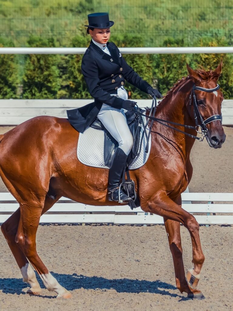 Horseback Riding as a Team Sport