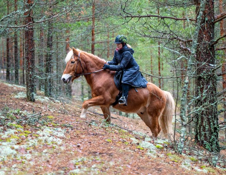 Horseback Riding Etiquette and Rules of the Trail