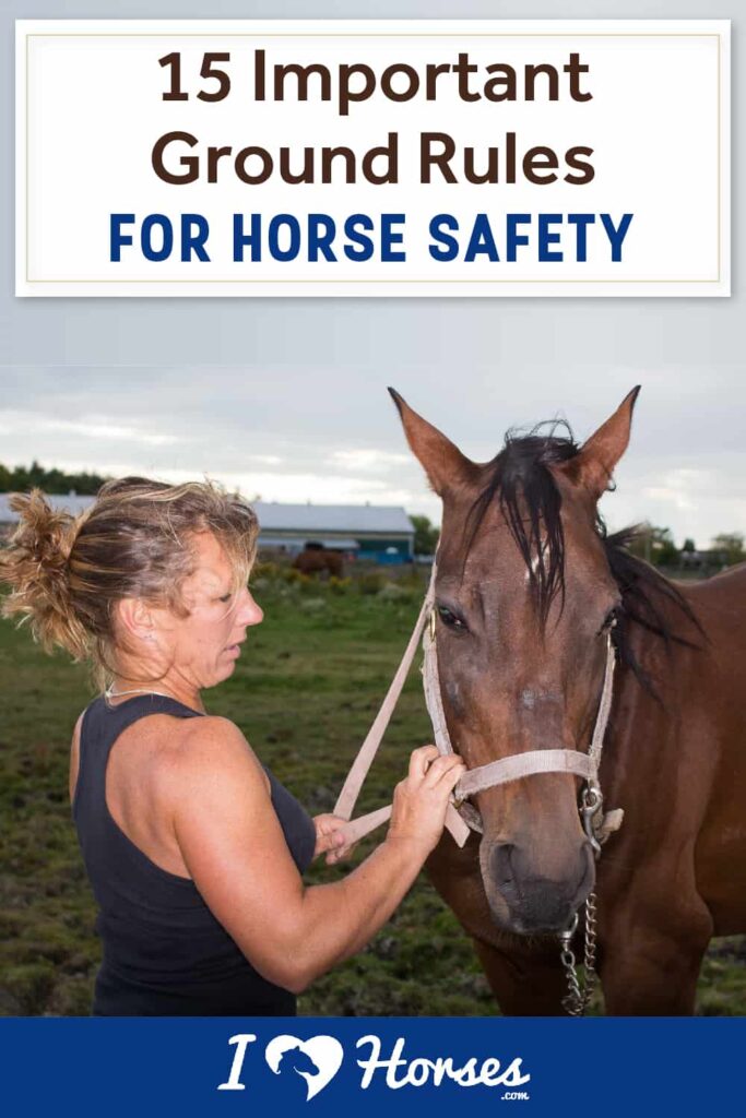 Horseback Riding Safety Tips for Beginners