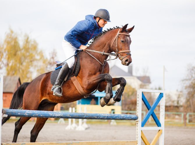 Horseback Riding Techniques for Jumping