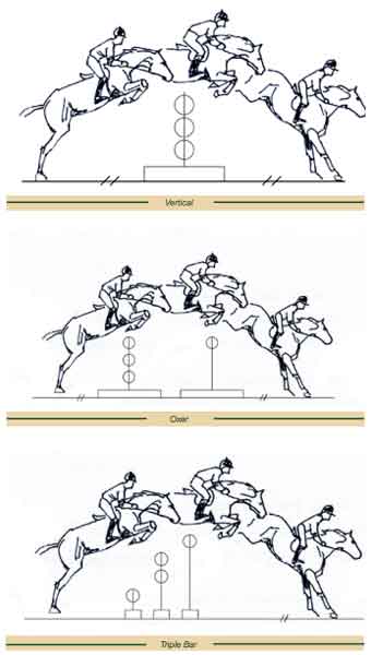 Horseback Riding Techniques for Jumping