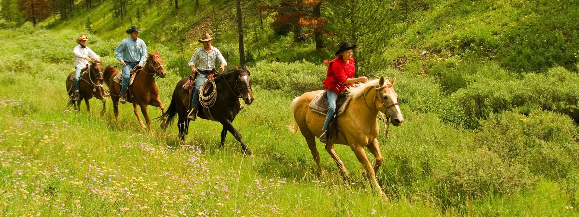 Horseback Riding Trails for Beginners