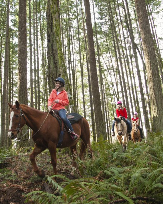 Horseback Riding Trails for Beginners