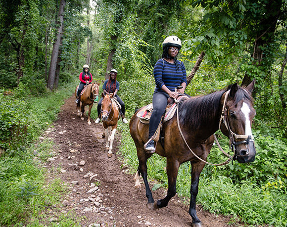 Horseback Riding Trails for Beginners