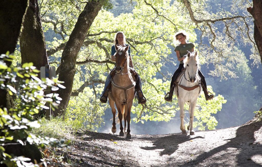 Horseback Riding Trails for Beginners