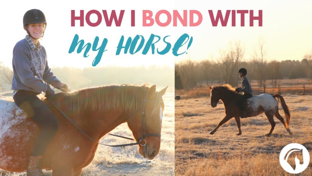 How to Bond with Your Horse through Riding