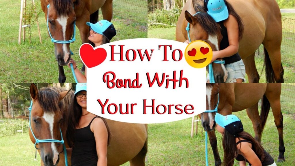 How to Bond with Your Horse through Riding