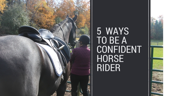 How to Build Confidence in Horseback Riding