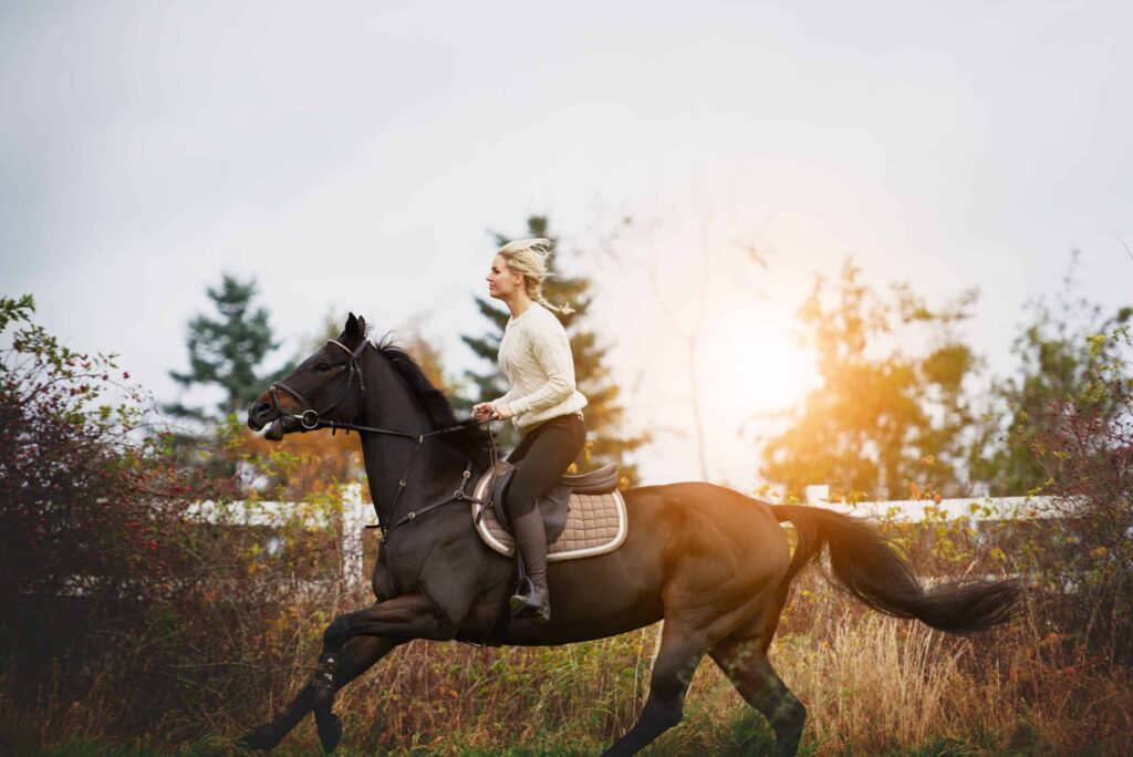 How to Build Confidence in Horseback Riding