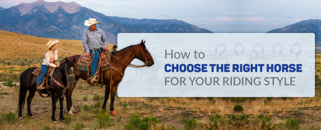 How to Choose a Horse for Riding