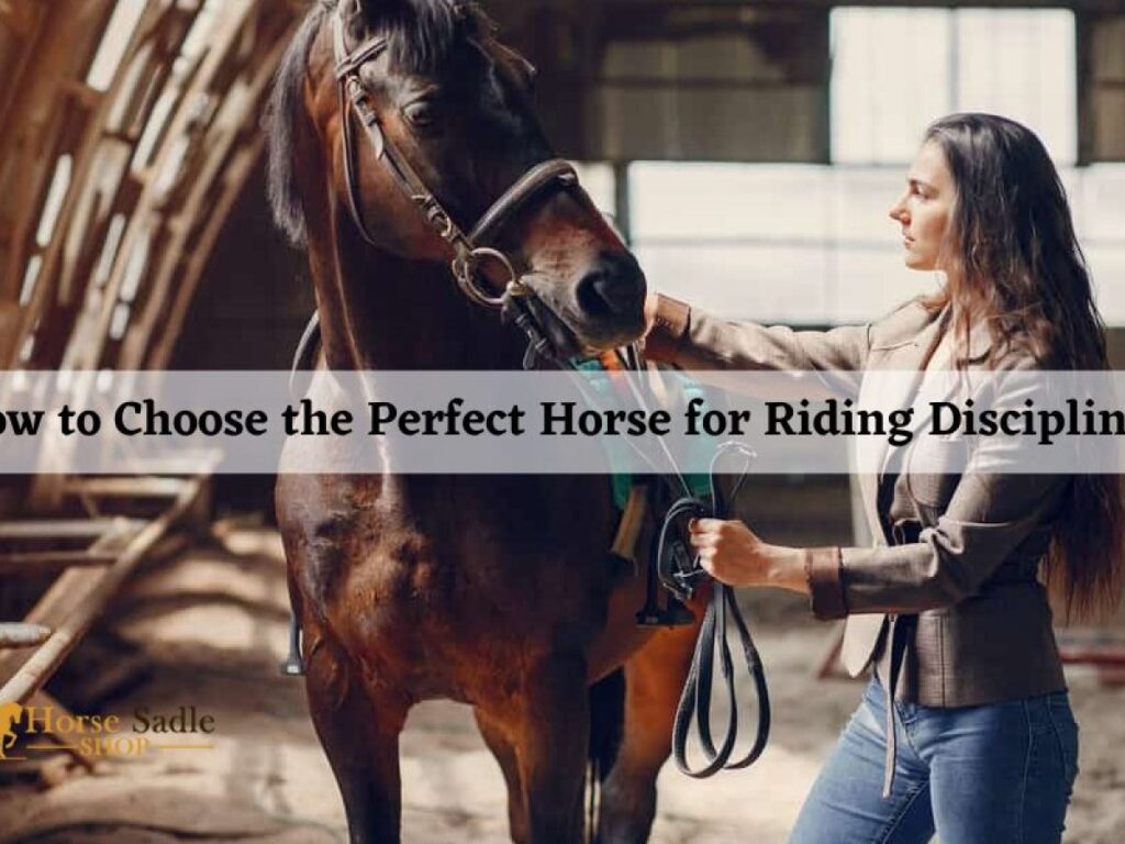 How to Choose a Horse for Riding