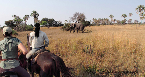 How to Choose the Perfect Horseback Riding Holiday