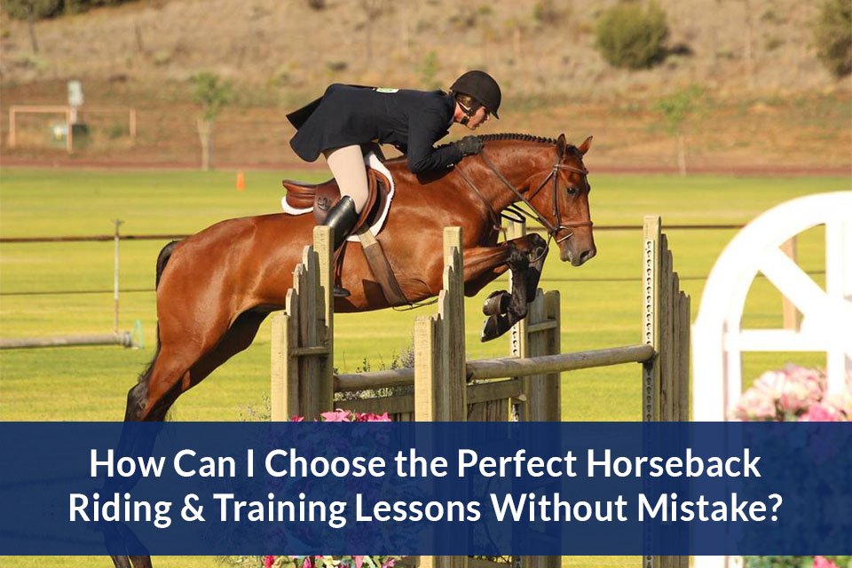 How to Choose the Right Horseback Riding Instructor