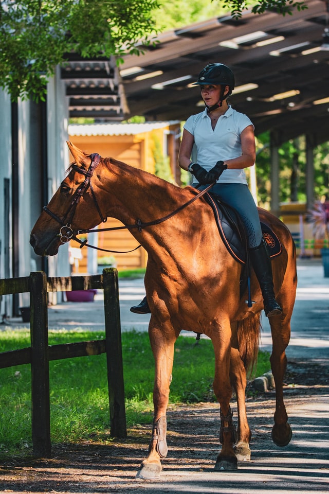 How to Choose the Right Horseback Riding Instructor