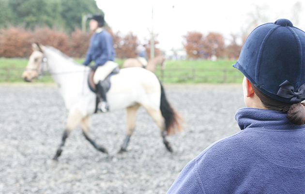 How to Choose the Right Horseback Riding Instructor for Kids