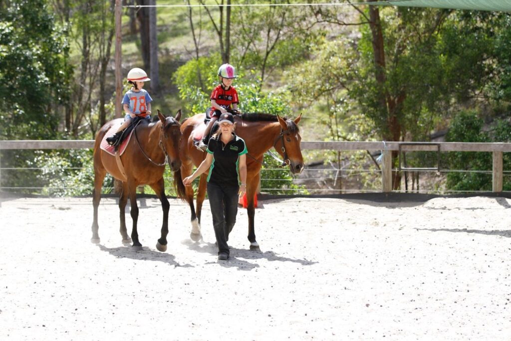 How to Choose the Right Horseback Riding School