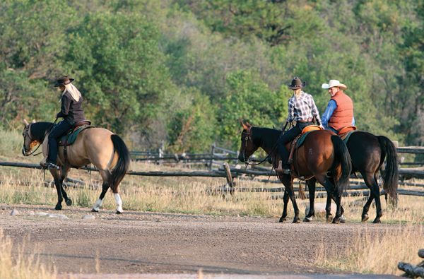 How to Choose the Right Horseback Riding Trail