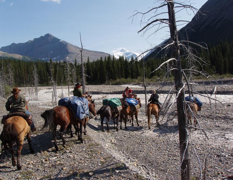 How to Choose the Right Horseback Riding Trail