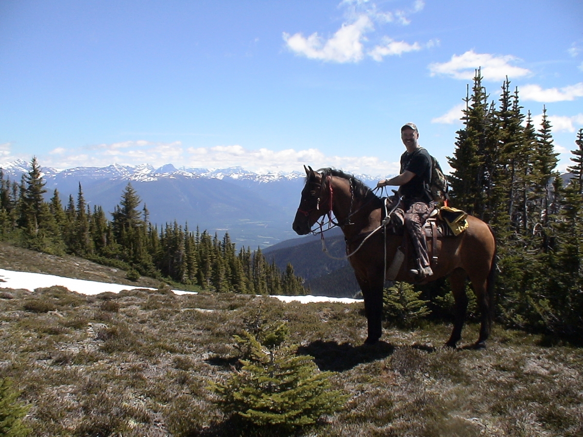 How to Choose the Right Horseback Riding Trail