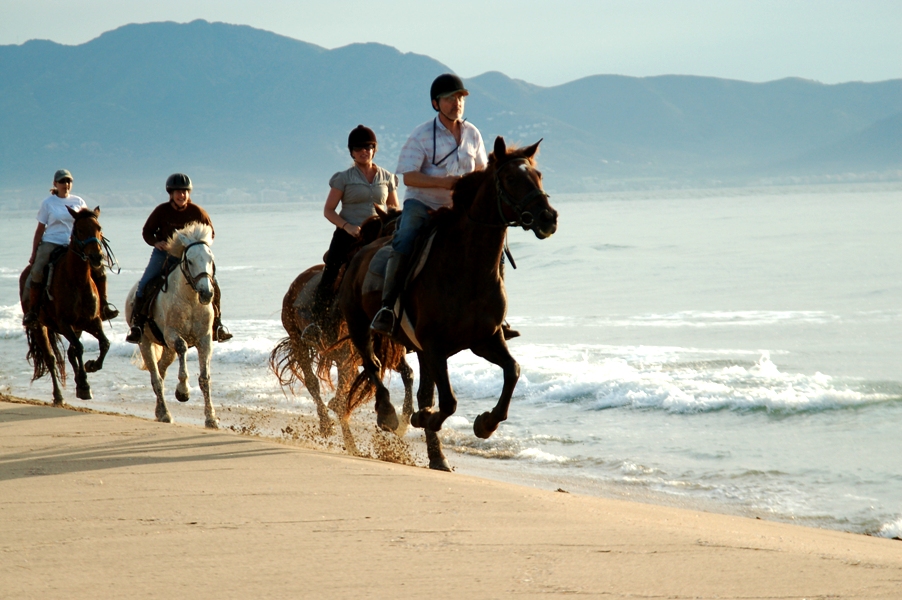 How to Choose the Right Horseback Riding Vacation