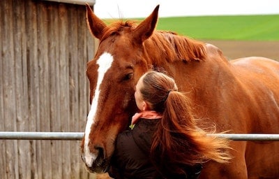 How to Develop a Bond with Your Horse through Riding