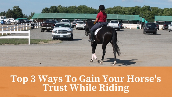 How to Develop Trust with a New Horse for Riding