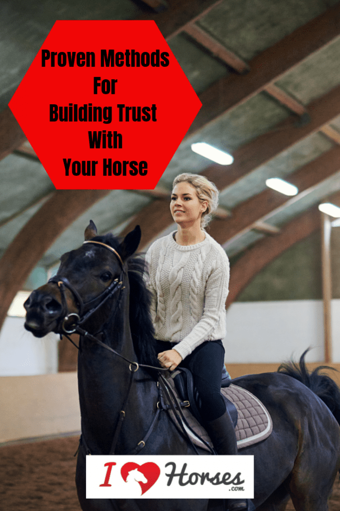 How to Develop Trust with a New Horse for Riding