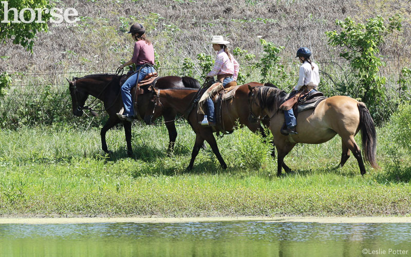 How to Handle Challenging Horseback Riding Situations