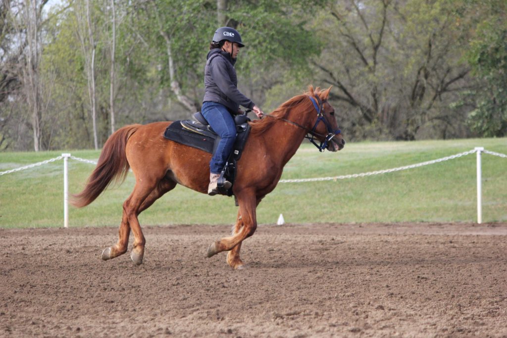 How to Handle Challenging Horseback Riding Situations