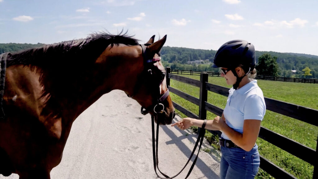 How to Handle Challenging Horseback Riding Situations