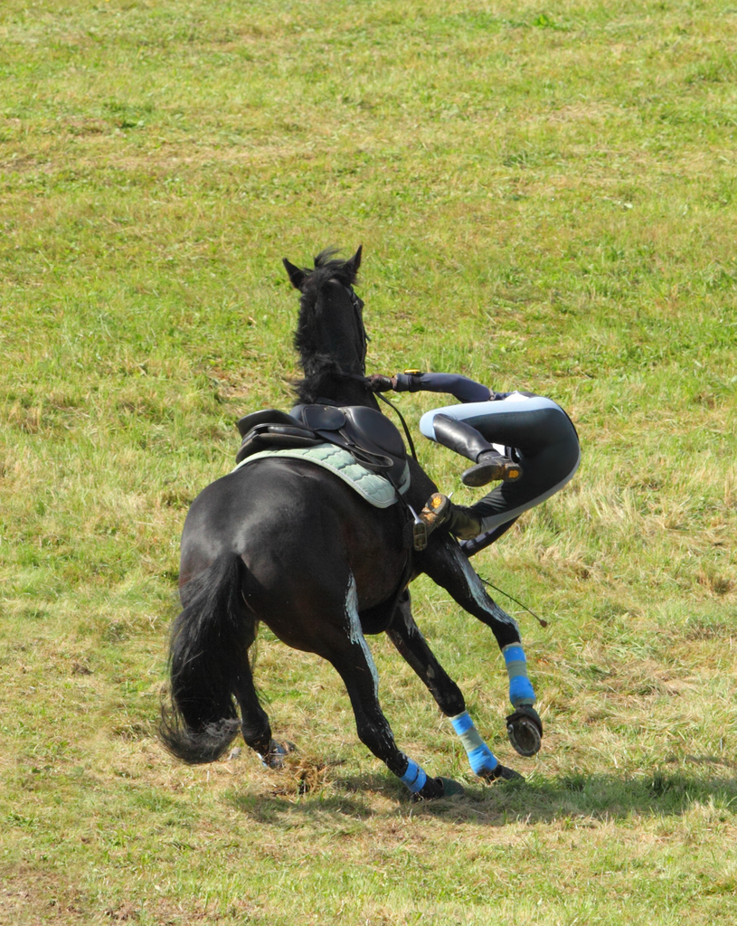 How to Handle Horseback Riding Accidents